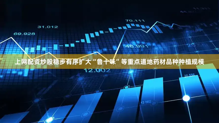上网配资炒股稳步有序扩大“鲁十味”等重点道地药材品种种植规模