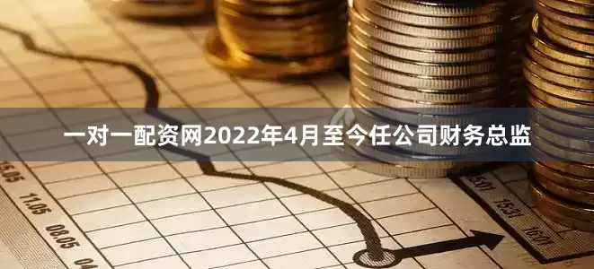 一对一配资网2022年4月至今任公司财务总监