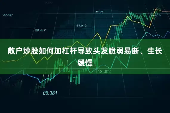 散户炒股如何加杠杆导致头发脆弱易断、生长缓慢