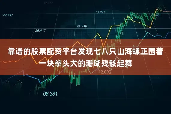 靠谱的股票配资平台发现七八只山海螺正围着一块拳头大的珊瑚残骸起舞