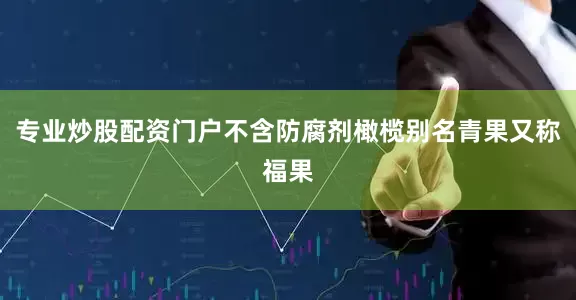 专业炒股配资门户不含防腐剂橄榄别名青果又称福果
