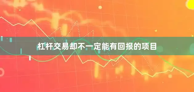 杠杆交易却不一定能有回报的项目