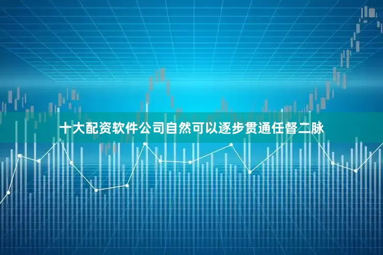 十大配资软件公司自然可以逐步贯通任督二脉